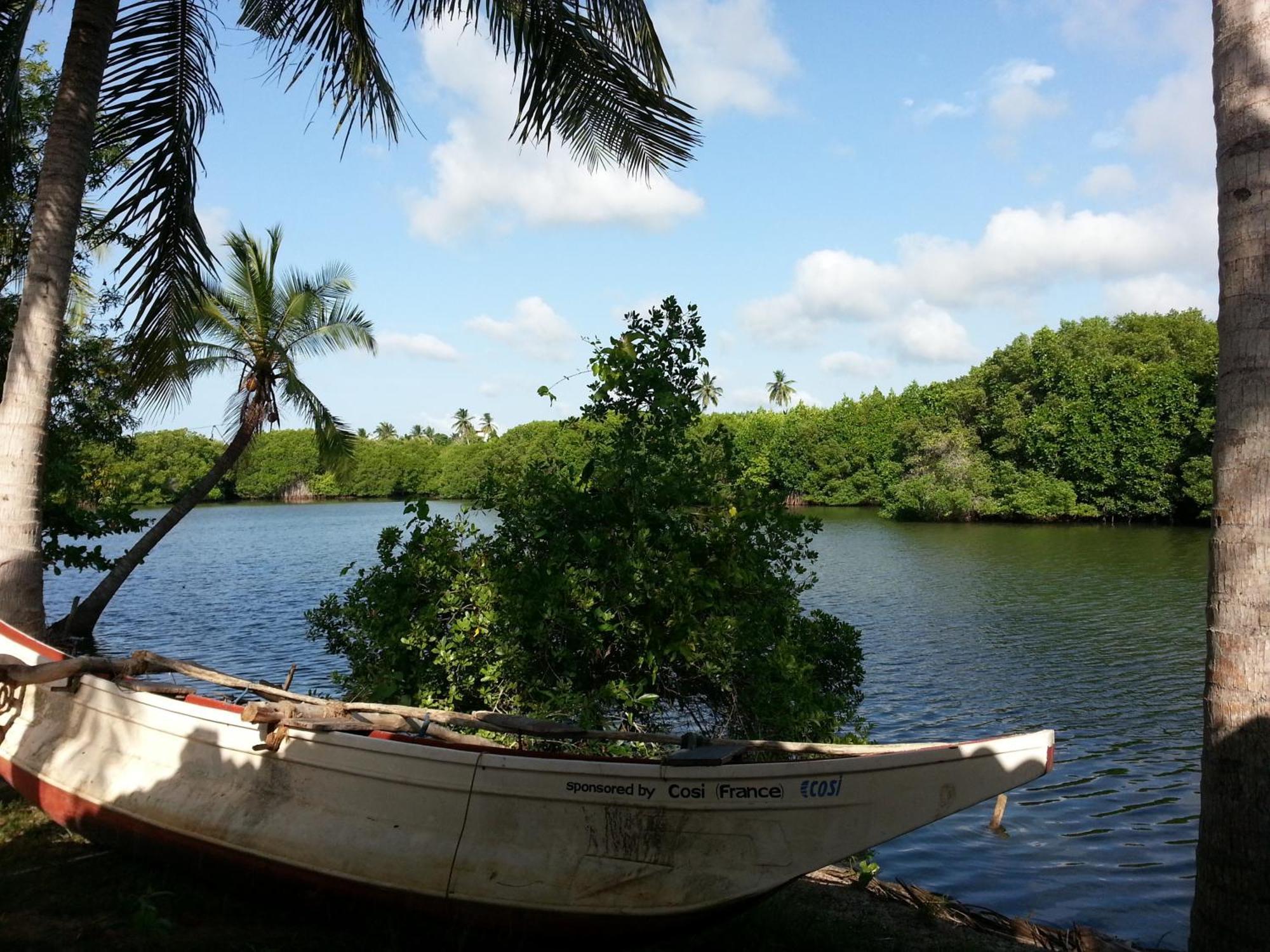 Coconut Island Villa Tangalle Cameră foto